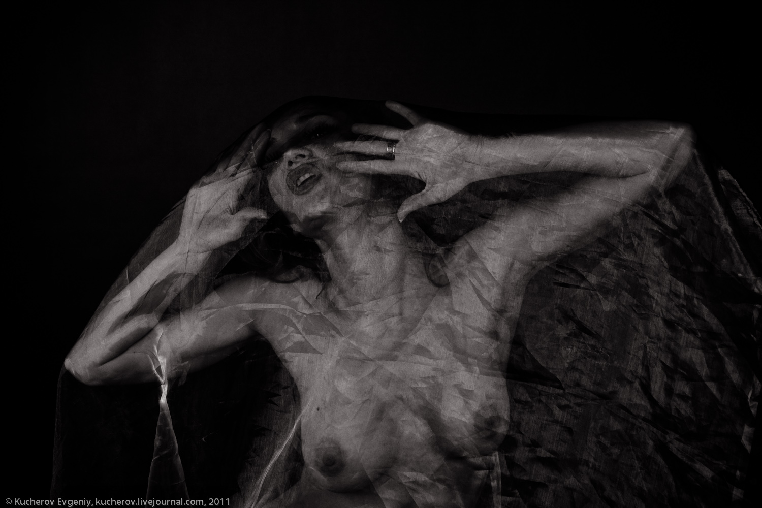 209_4156_1